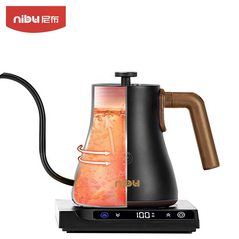 스테인리스 스틸 소재의 소형 구즈넥 전기 주전자로, 온 - Electric Kettle Temperature Control 리뷰 및 가격